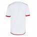 Flamengo Replica Away Stadium Shirt 2024-25 Short Sleeve